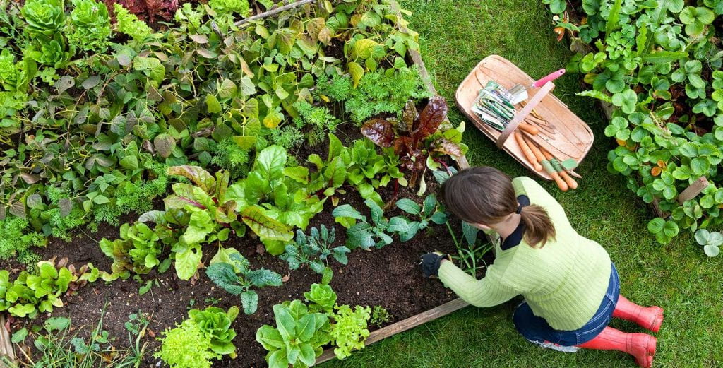 Sodexo sustainbility for Providence College